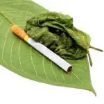 Can you Smoke Kratom and is it Safe? Long Term Side Effects