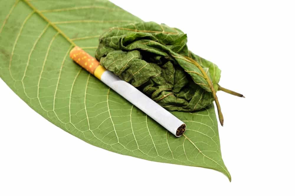 can you smoke kratom