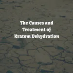 Kratom Dehydration: Symptoms & How To Stay Hydrated