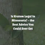 Is Kratom Legal in Minnesota? [Laws & Buyers Guide]