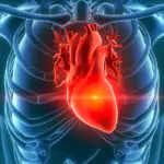 How Does Kratom Affect Your Heart? [and How To Recognize Them]