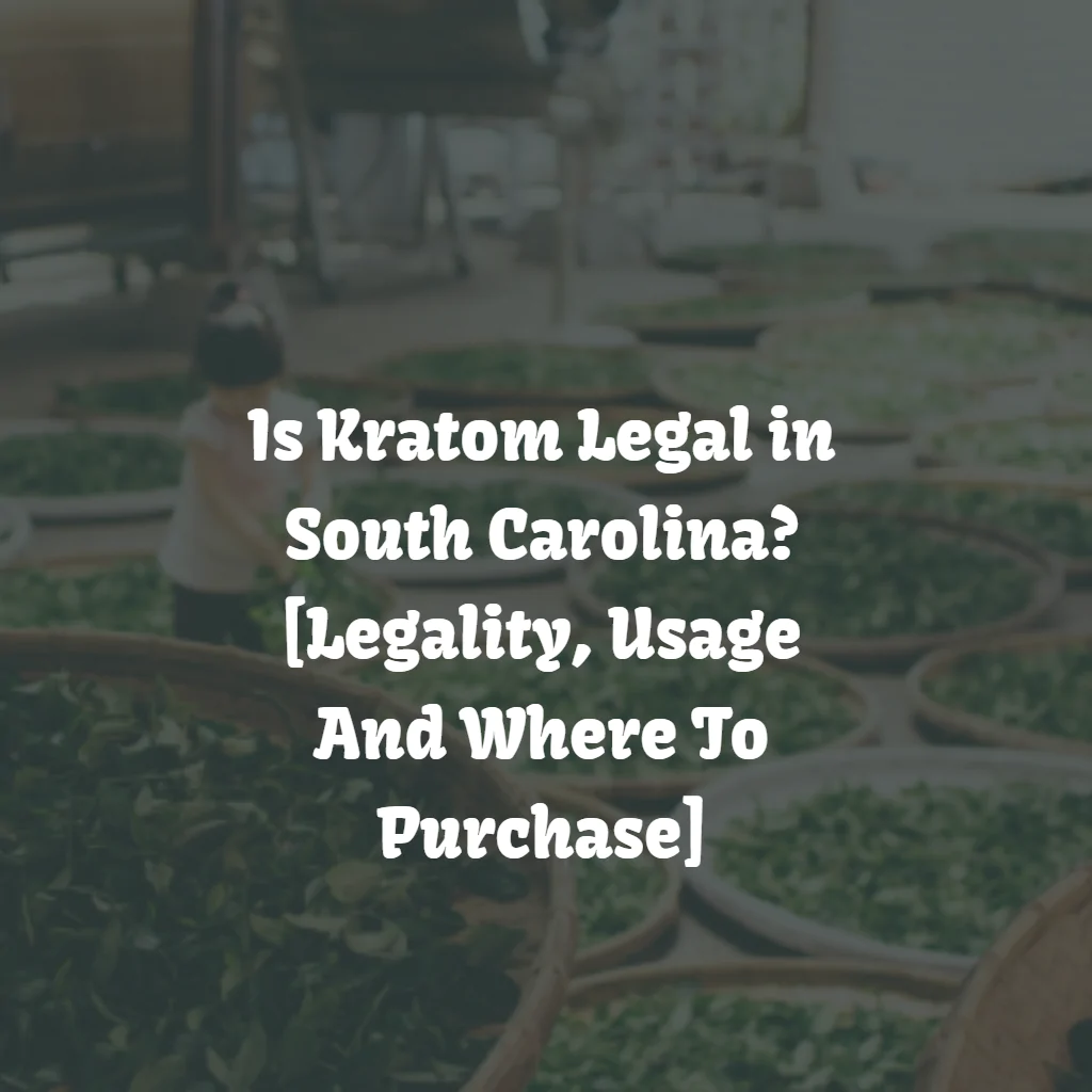 Is Kratom Legal in South Carolina? [Laws & Buyers Guide]